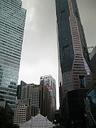 IMG_5545