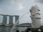 IMG_5556