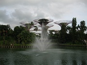 IMG_5585