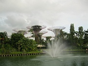 IMG_5586