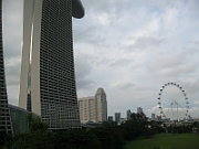 IMG_5587
