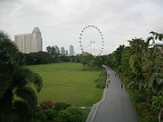 IMG_5590