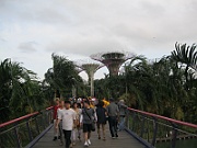 IMG_5591