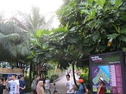 IMG_5596