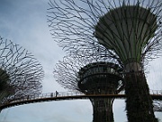 IMG_5597