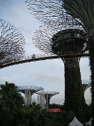 IMG_5598