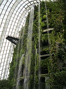 IMG_5599