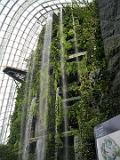 IMG_5601