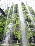 IMG_5605