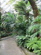 IMG_5608