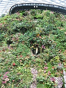 IMG_5610