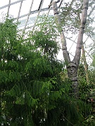 IMG_5613