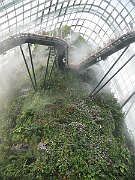 IMG_5626