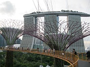IMG_5630