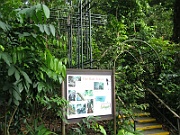 IMG_5661