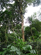IMG_5662