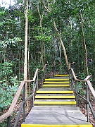 IMG_5663