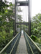 IMG_5761