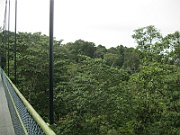 IMG_5763