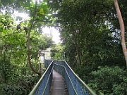 IMG_5767