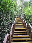 IMG_5769