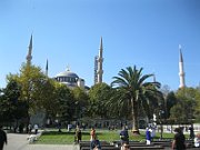 IMG_1007