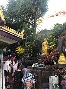 IMG_6635