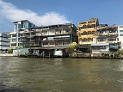 IMG_6909
