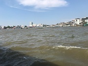 IMG_6913