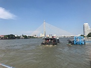 IMG_6919