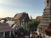 IMG_6981