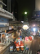 IMG_7050