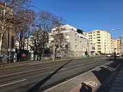 IMG_7651