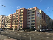IMG_7655
