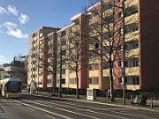 IMG_7656