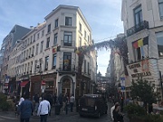 IMG_8239