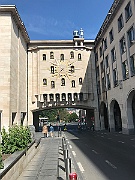 IMG_8242