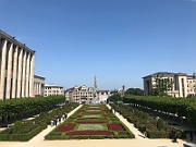 IMG_8251