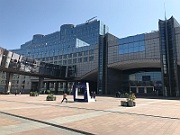 IMG_8295