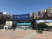 IMG_8296