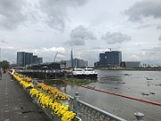 IMG_7443