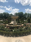 IMG_8648
