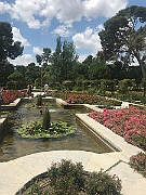 IMG_8649