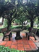 IMG_7527