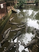 IMG_7532
