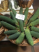 IMG_9154