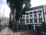 IMG_8734