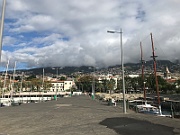 IMG_8774