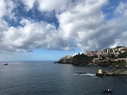 IMG_8778
