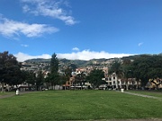 IMG_8877